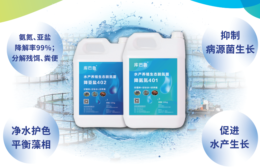 庫巴魯水產養殖脫氮微生物特性