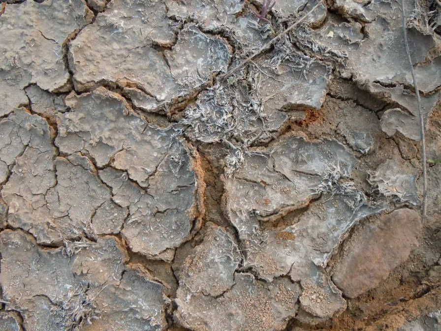 高鹽廢水生化系統(tǒng)如何穩(wěn)定運行？