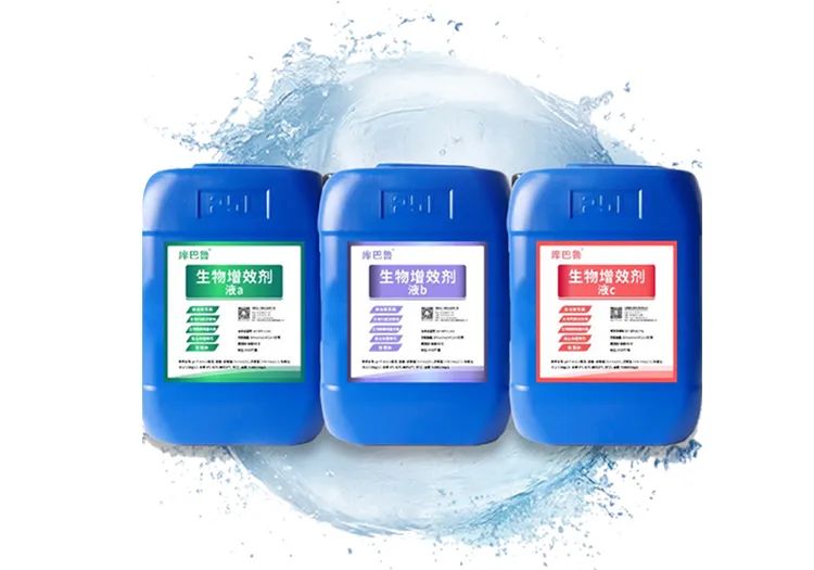 庫巴魯團隊研發的生物增效劑(菌)